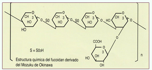 C&aacute;ncer Fucoid&aacute;n